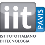 IIT PAVIS Logo